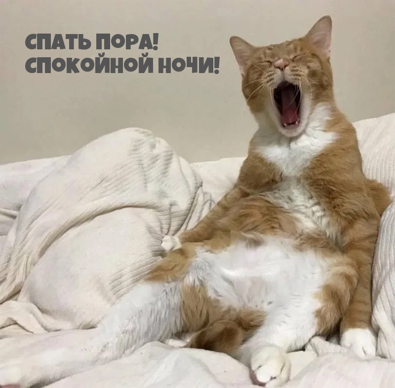  !  !
