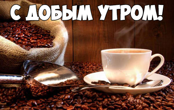 � ������ �����! ����� ����