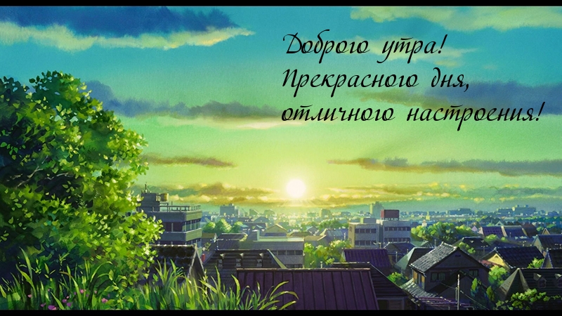 ������� ����! ����������� ���, ��������� ����������!