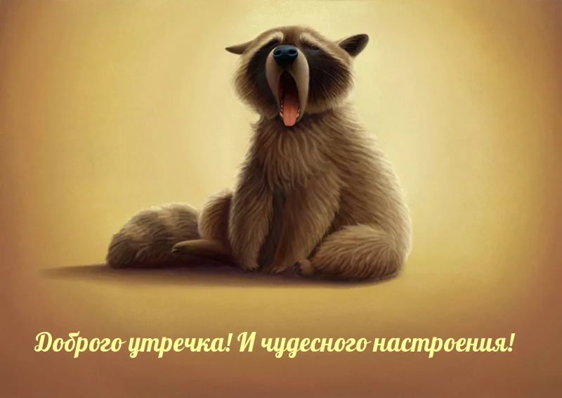 Открыть в полном размере Доброго утречка! И чудесного настроения!