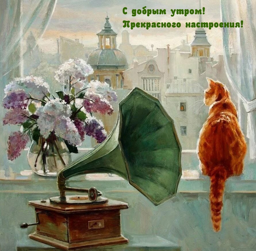   !  !
