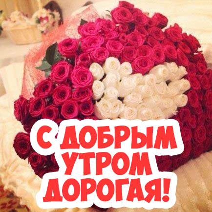 � ������ �����, �������!