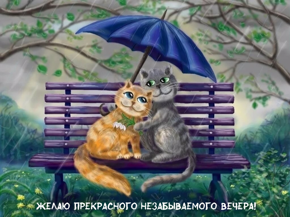 Открыть в полном размере Желаю прекрасного незабываемого вечера!