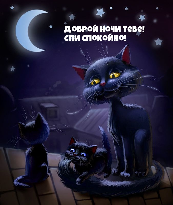 Доброй ночи тебе! Спи спокойно! Доброй ночи тебе! Спи спокойно!