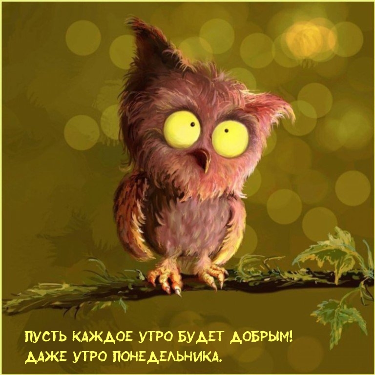 ����� ������ ���� ����� ������! ���� ���� ������������.