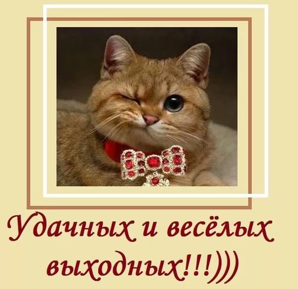 Удачных и веселых выходных!) Удачных и веселых выходных!)