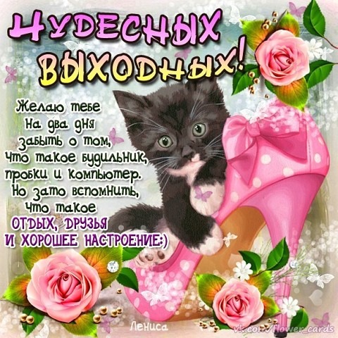 �������� ��������! ������ � �������� ����������!