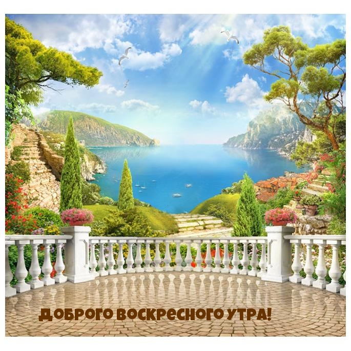 ������� ����������� ����!