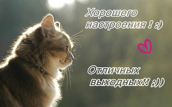    !
