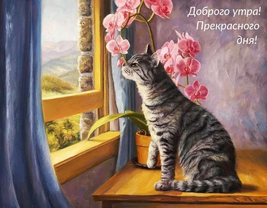  !  !