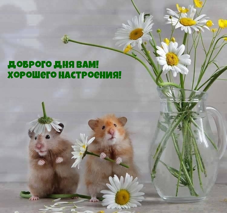   !  !