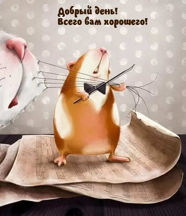  !   !