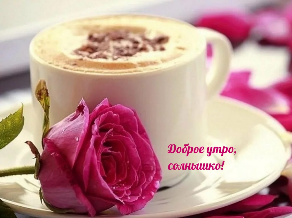 Доброе утро, солнышко!