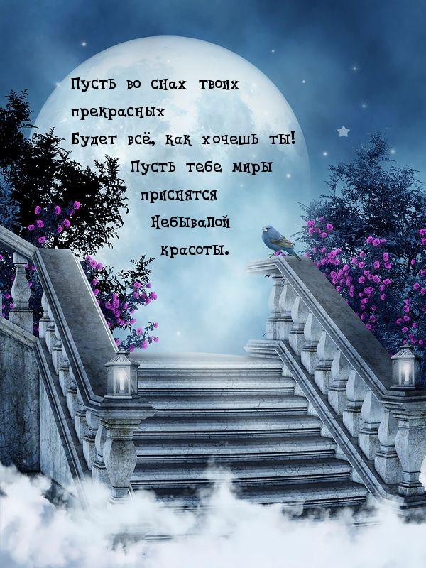      ,   )