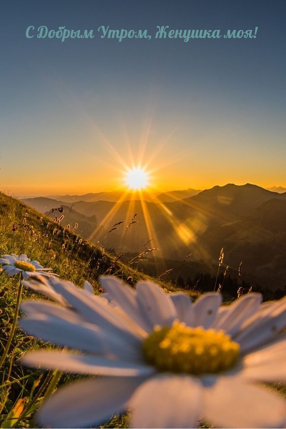 � ������ �����, ������� ���!