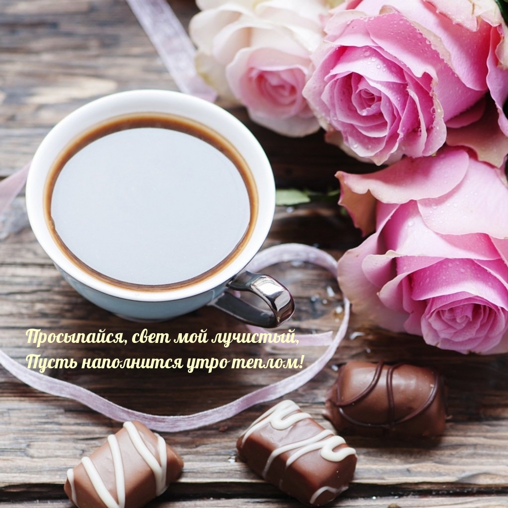 Открыть в полном размере Просыпайся, свет мой лучистый