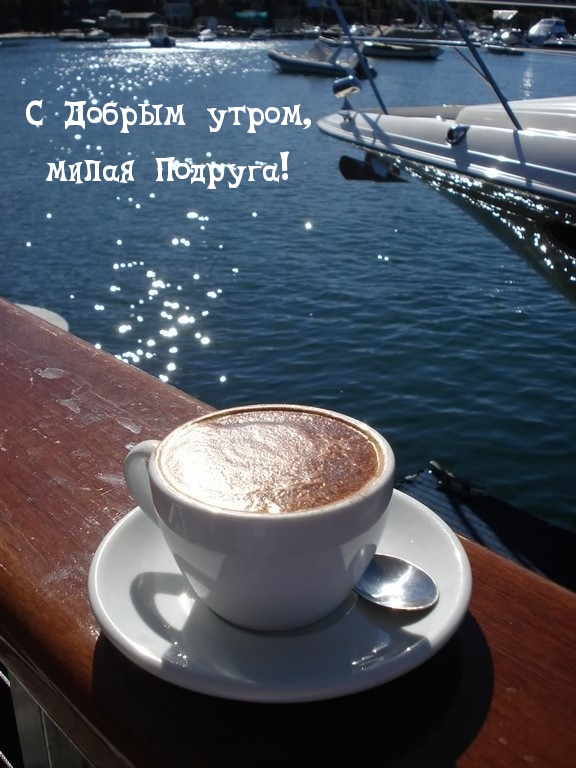 � ������ �����, ����� �������!