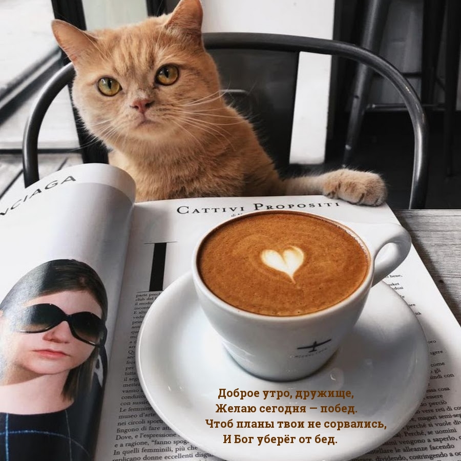 ������ ����, �������, ����� - �����!)