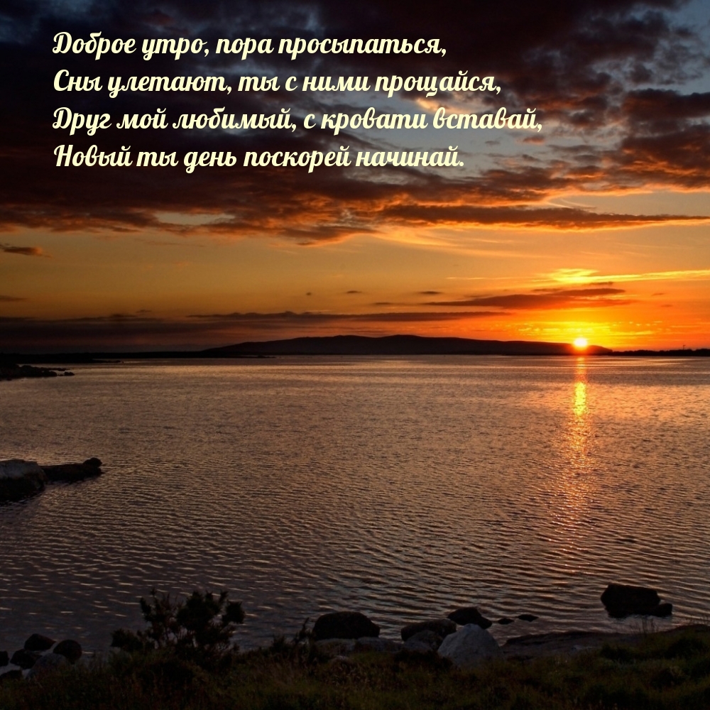 Открыть в полном размере Друг мой любимый, с кровати вставай!