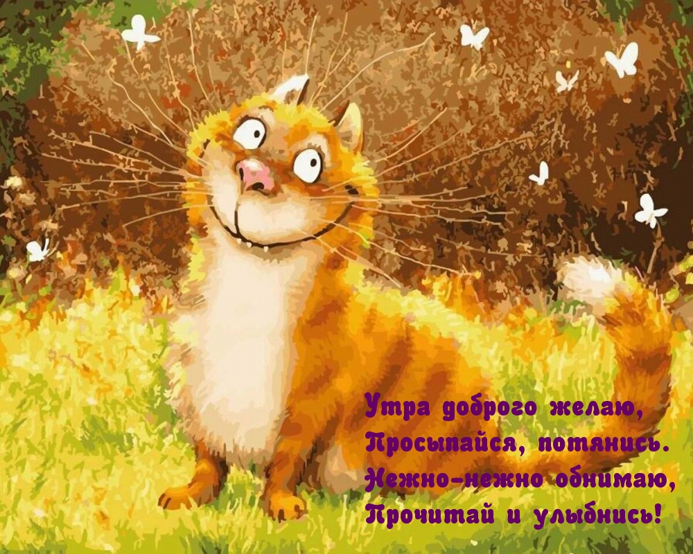   , , !