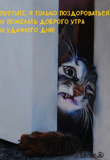 ,   !