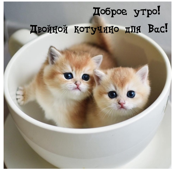  !    !