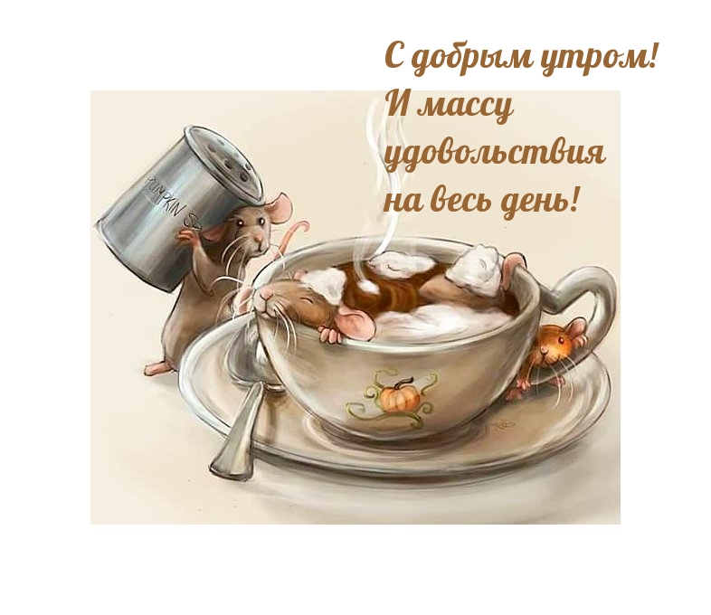 С добрым утром! И массу удовольствия на весь день! С добрым утром! И массу удовольствия на весь день!