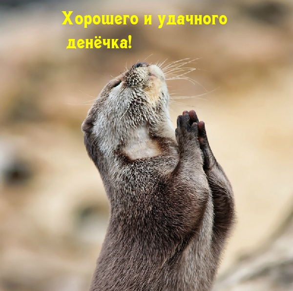 �������� � �������� �������!