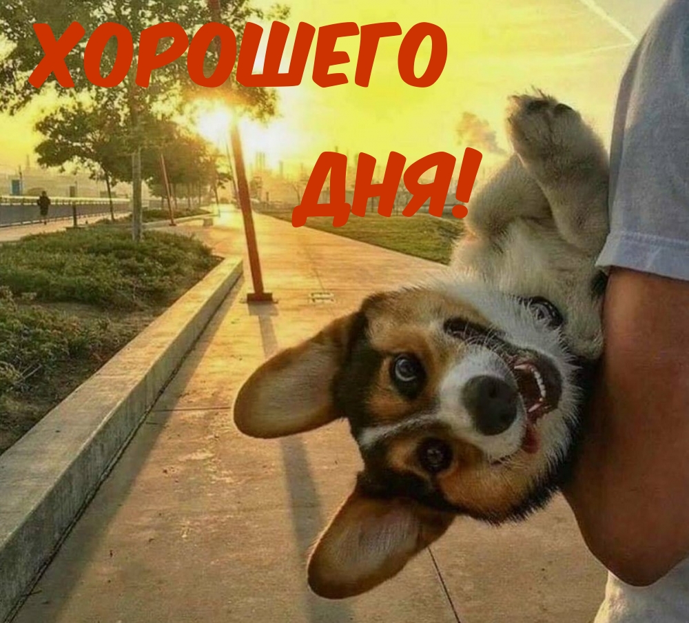 �������� ���!