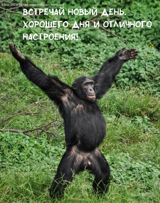 �������� ����� ����!