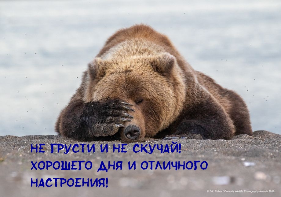 �� ������ � �� ������! �������� ���!