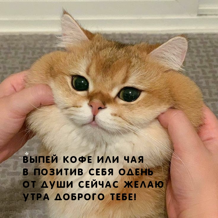    ,    !