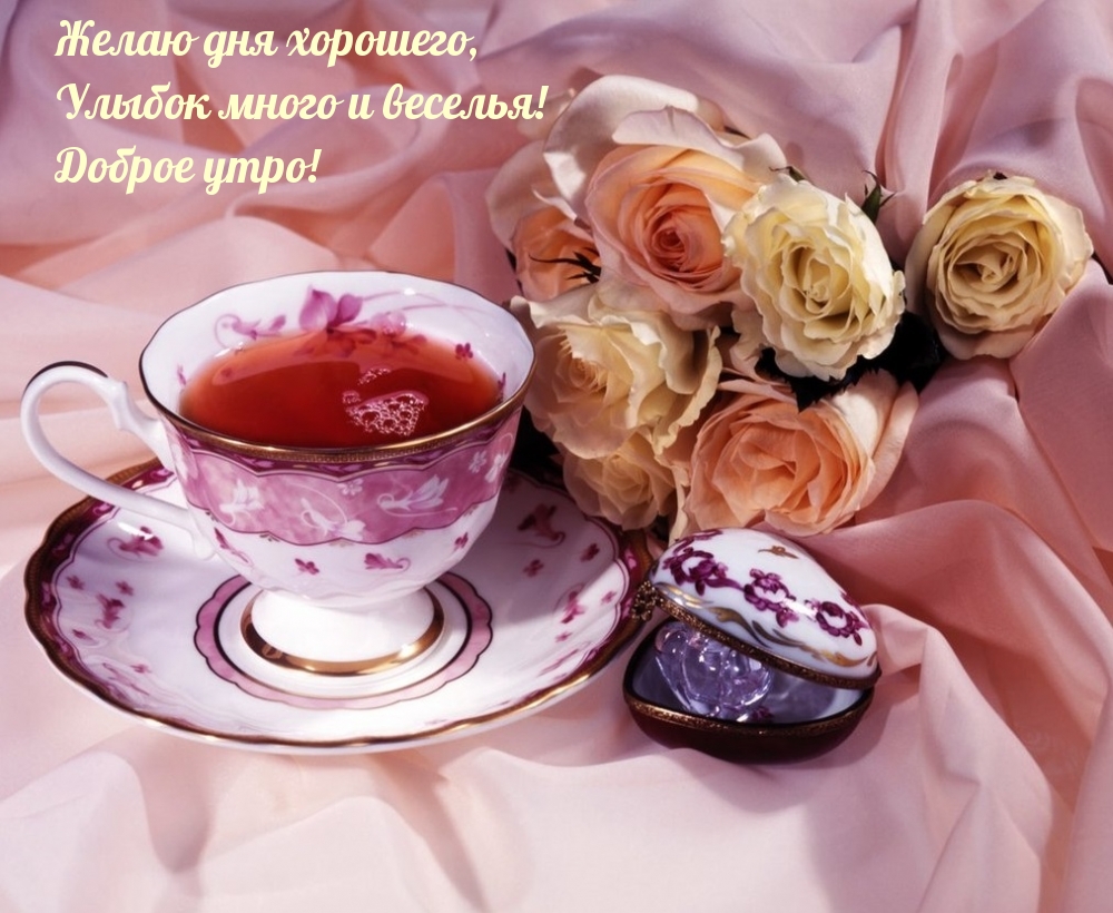 ����� ��� ��������, ������ ����� � �������! ������ ����!