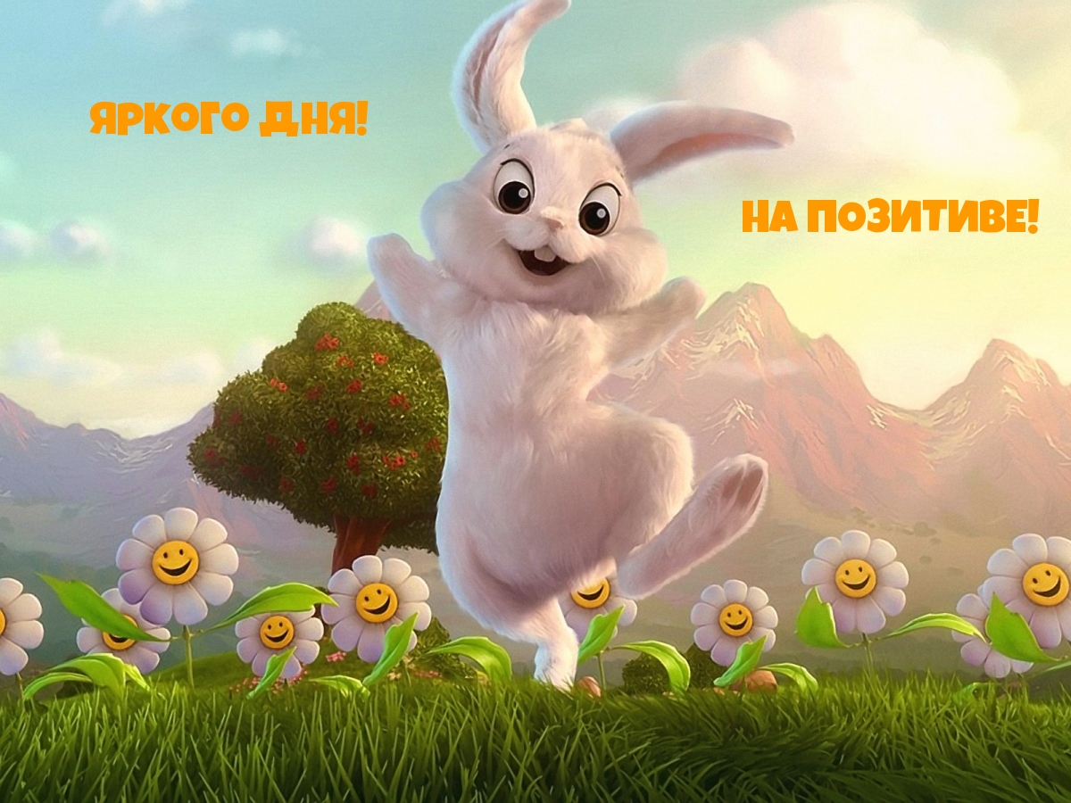 ������ ���! �� ��������!