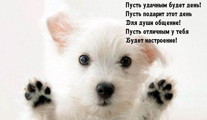 ����� �������� � ���� ����� ����������!