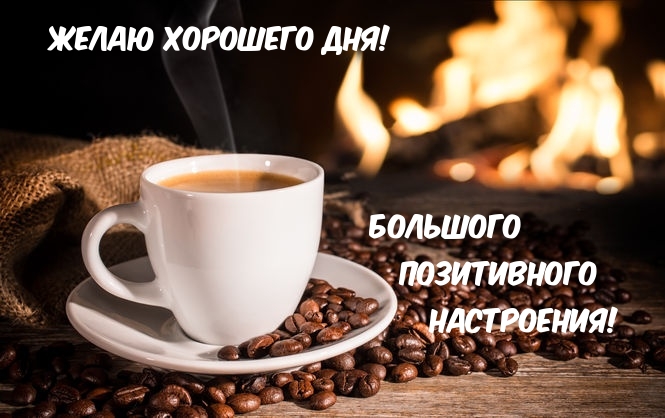 ����� �������� ���! �������� �����������                                        ����������!