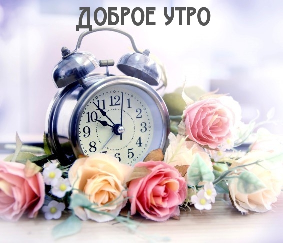 Доброе утро Доброе утро