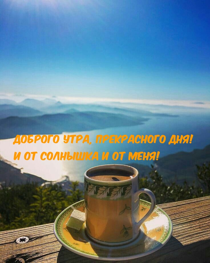  ,  !      !