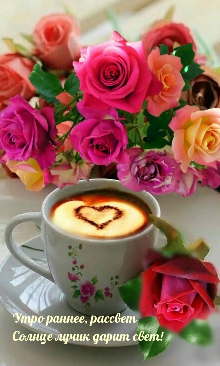 Открыть в полном размере Утро раннее, рассвет. Солнце лучик дарит свет!