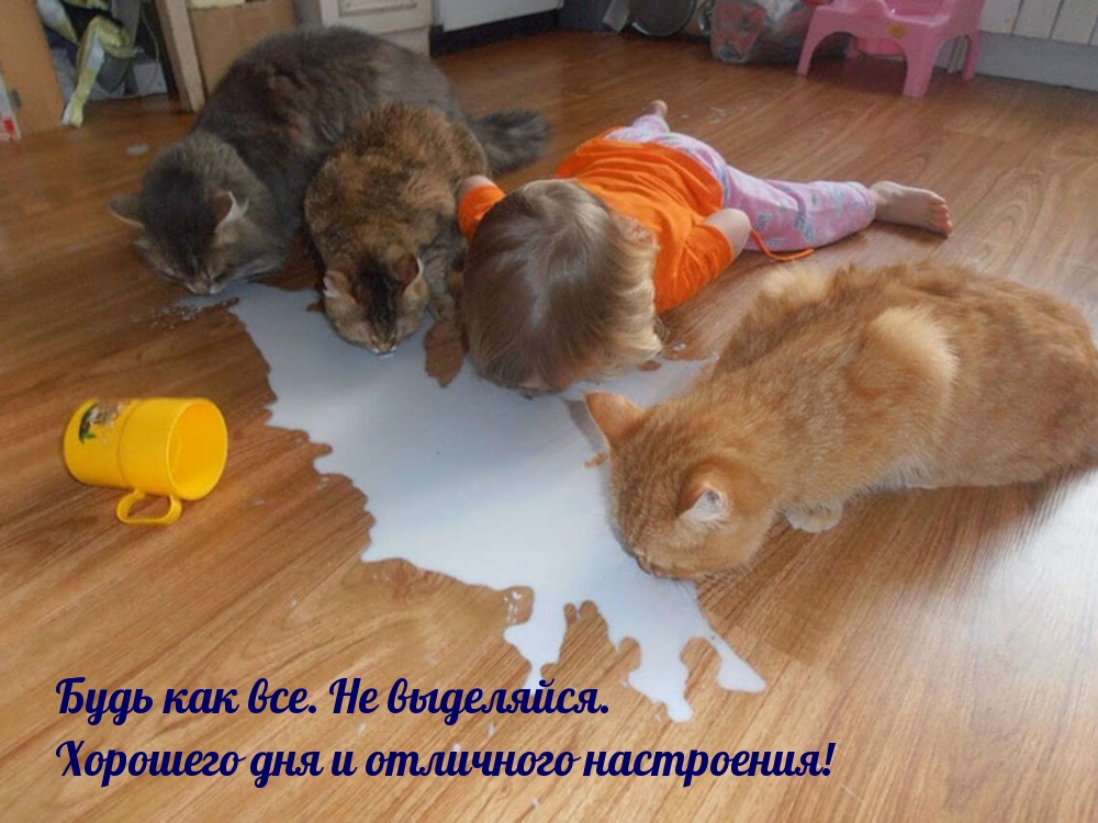 ���� ��� ���. �� ���������