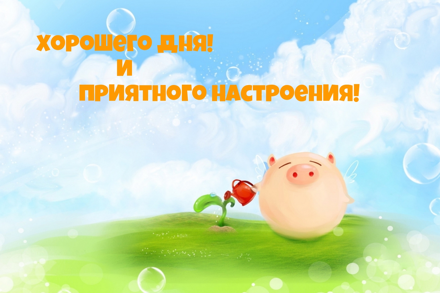 �������� ���! � ��������� ����������!