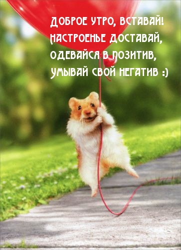  , !  !