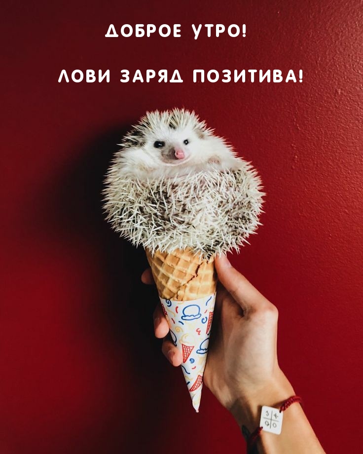 Открыть в полном размере Доброе утро! Лови заряд позитива!