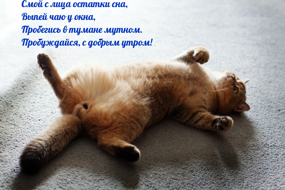 �����������, � ������ �����!