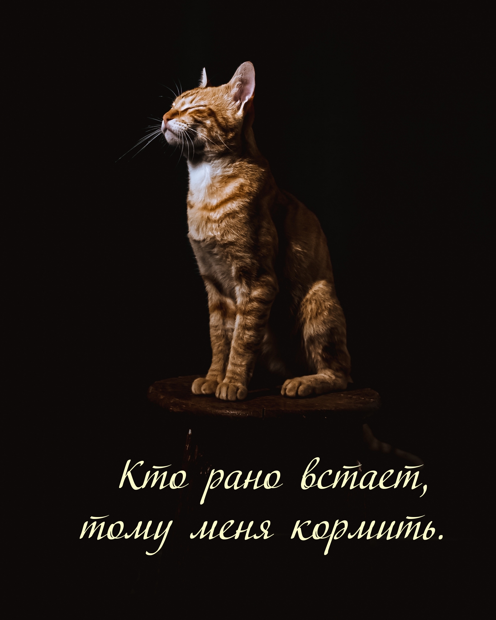 ��� ���� ������, ���� ���� �������.