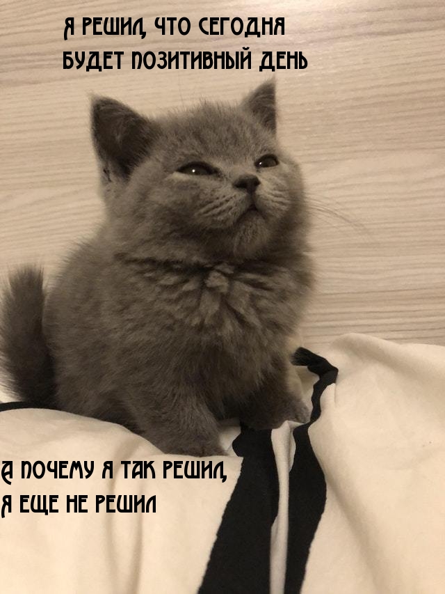 Открыть в полном размере Я решил, что сегодня будет позитивный день