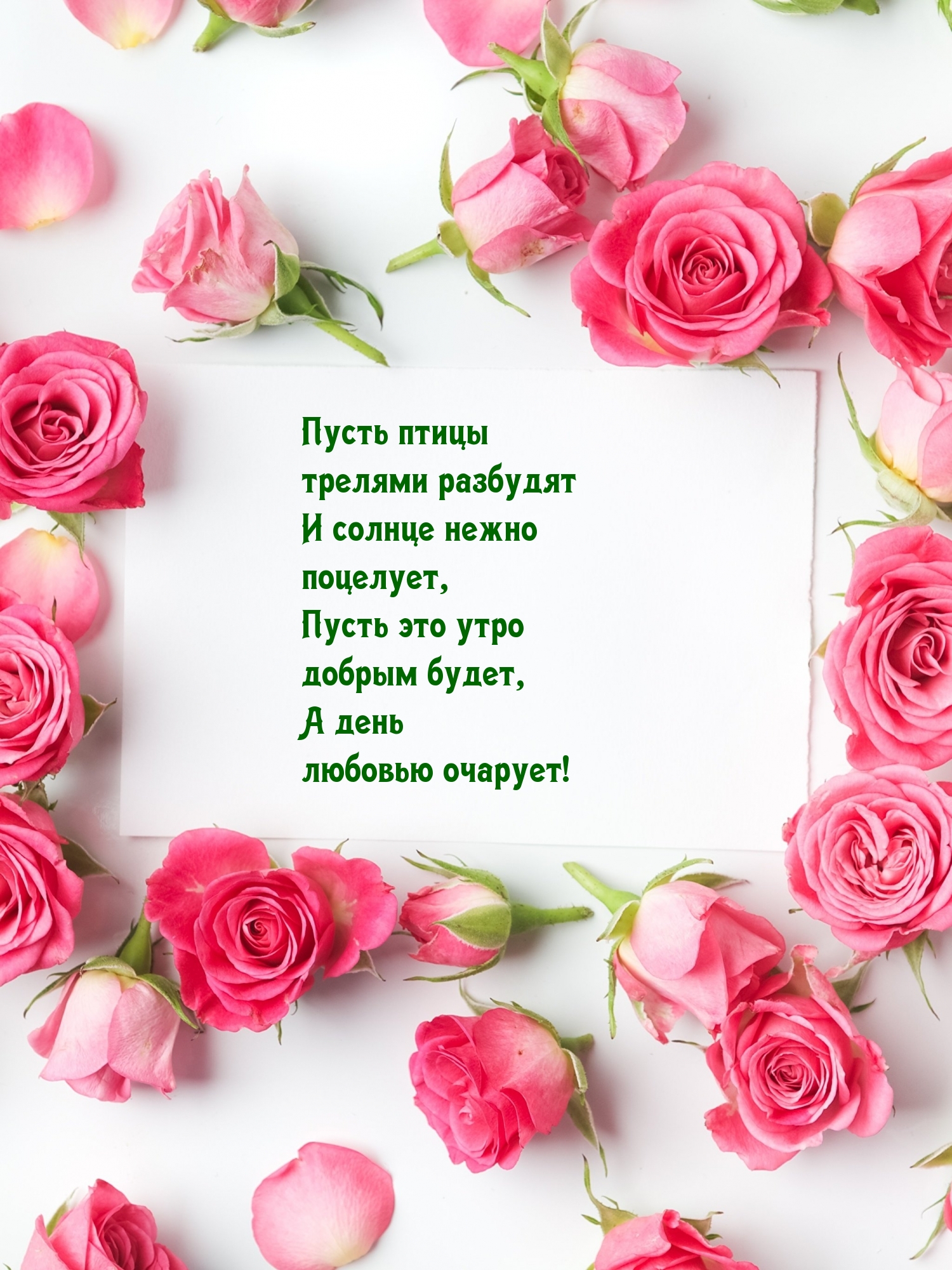     ,    !