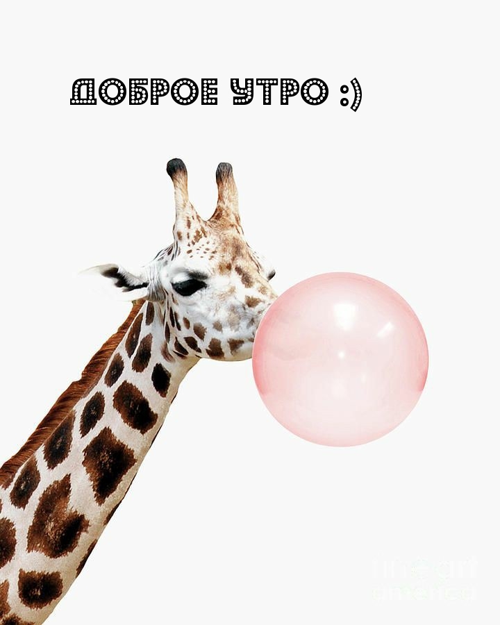 Доброе утро :) Доброе утро :)