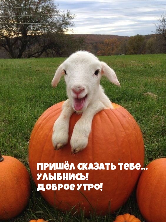   ... !  !