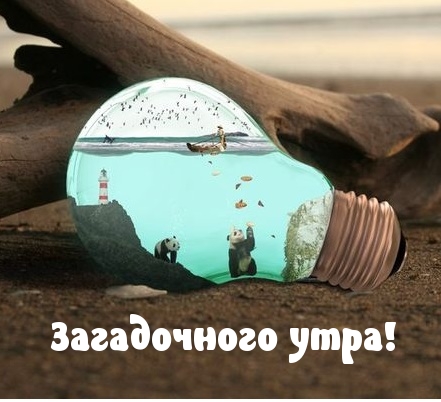 Открыть в полном размере Загадочного утра!